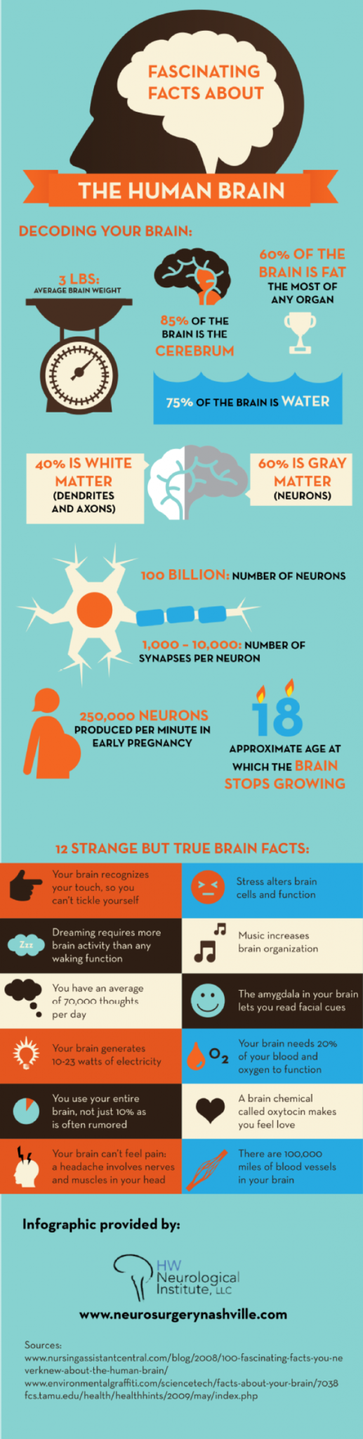 global brain awareness week facts about the brain