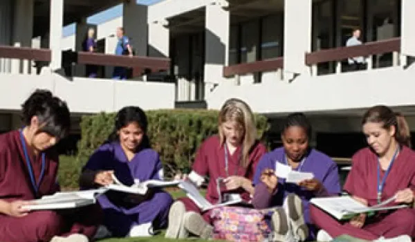 Students study on lawn outside Portland campus.