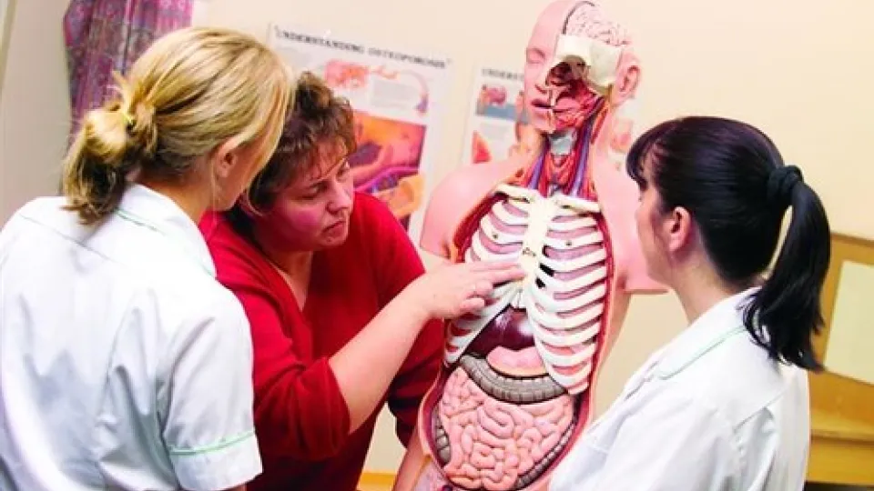 Practical Nursing students learning Practical Nursing students learning