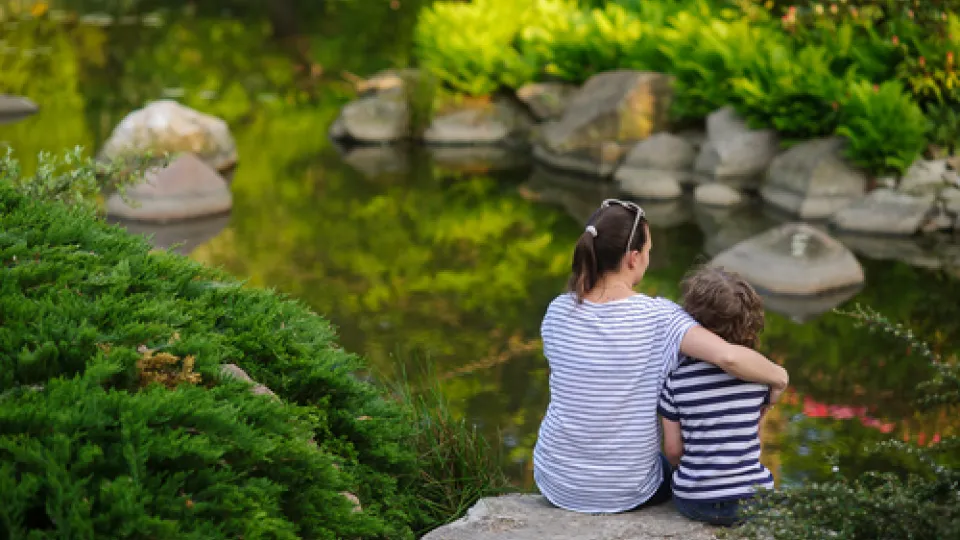 Hugs help protect against the common cold, research finds